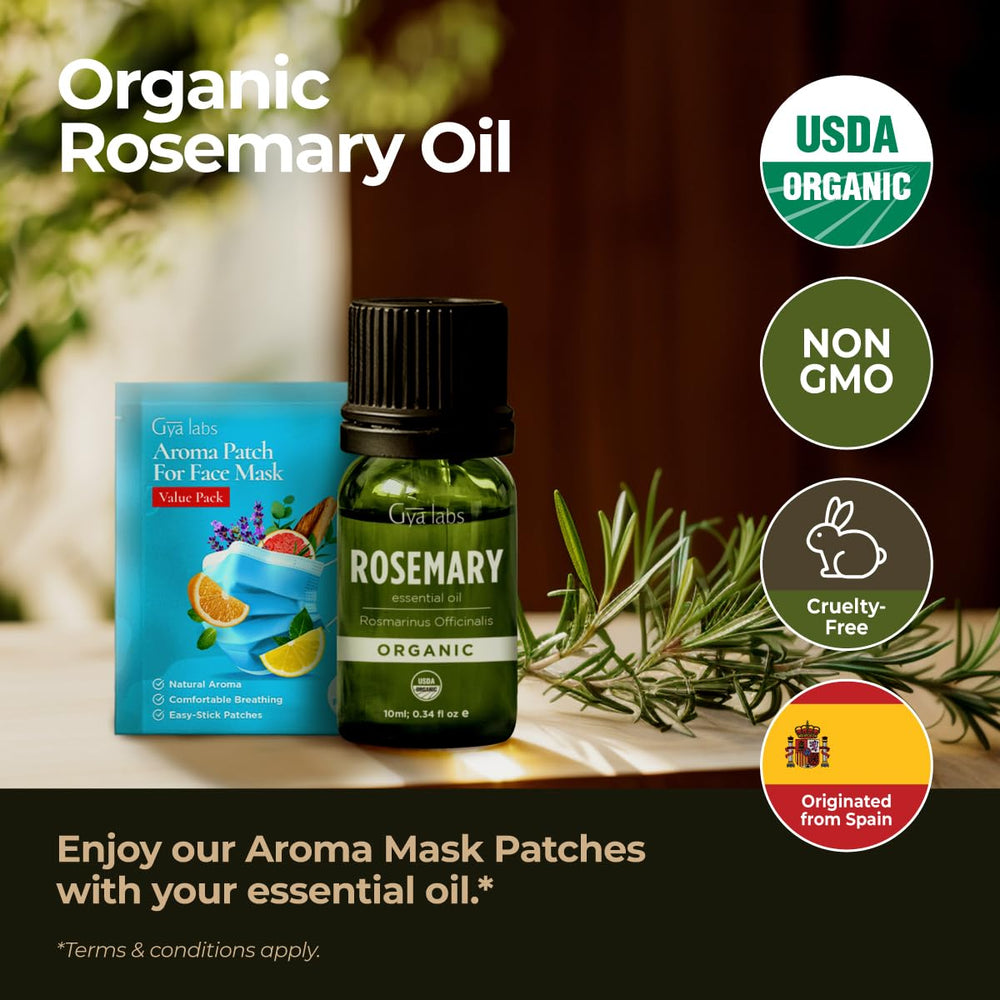 Gya Labs rosemary oil diffuser drops creating a fresh, herbaceous scent in rooms.