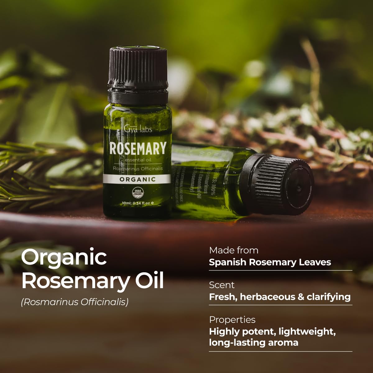Gya Labs rosemary oil for skin application adds a gentle boost to routine care.