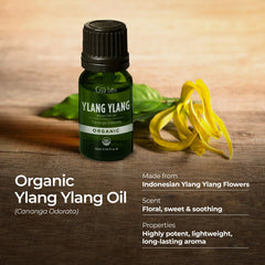 Gya Labs Ylang Ylang oil for hair care routines.