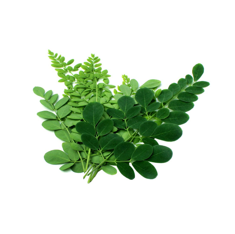 A glass of the detox tonic with herbal aroma and refreshing appearance.