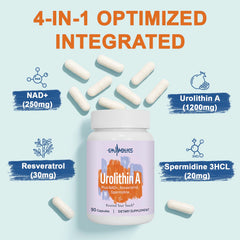 Ingredients panel highlights NAD+ precursors, trans-resveratrol, and spermidine.