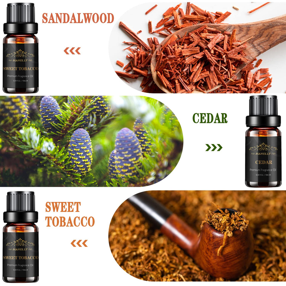 Hanolly men's fragrance cedar 10ml bottle for a fresh woodsy environment.