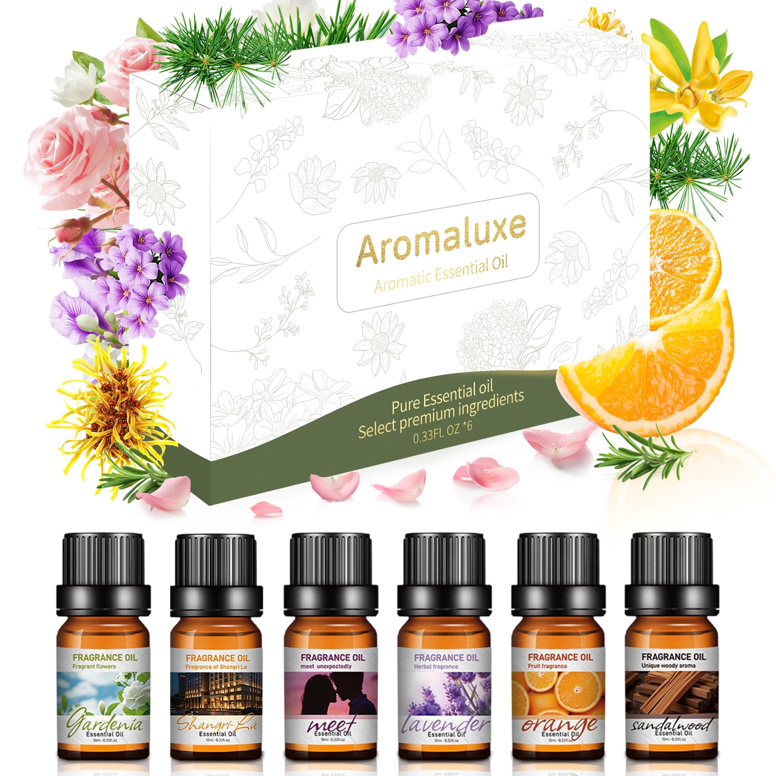 HAONINYUE Essential Oils Set 6-pack diffusers—perfect for DIY blends and aromatherapy.