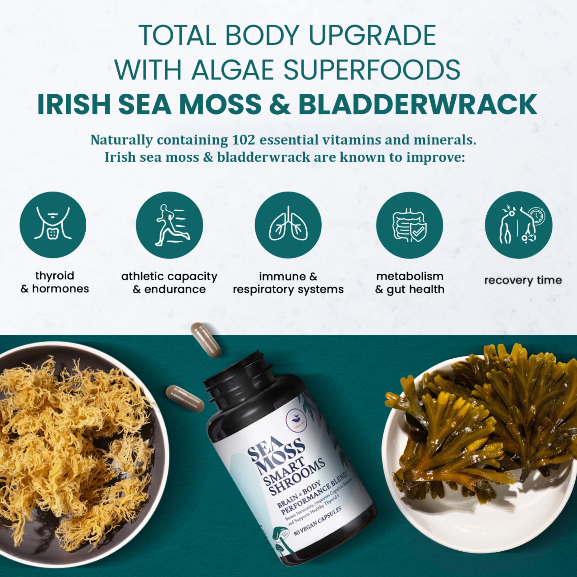Happy Fox ingredients panel showcasing algae sea moss and mushroom blend.