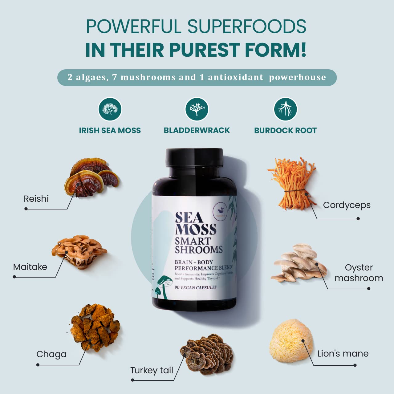 Happy Fox Sea Moss Capsules bottle back showing ingredients and serving size.