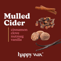 Happy Wax Cinnamon Clove Nutmeg blend adds spice notes for living room ambiance