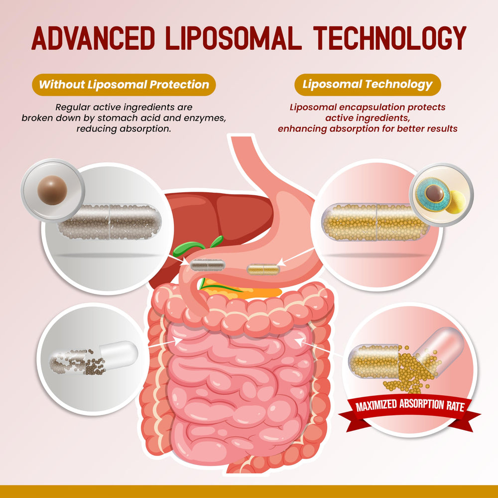 HarmoVira liposomal cloves shown with cozy wellness setup for respiratory support.