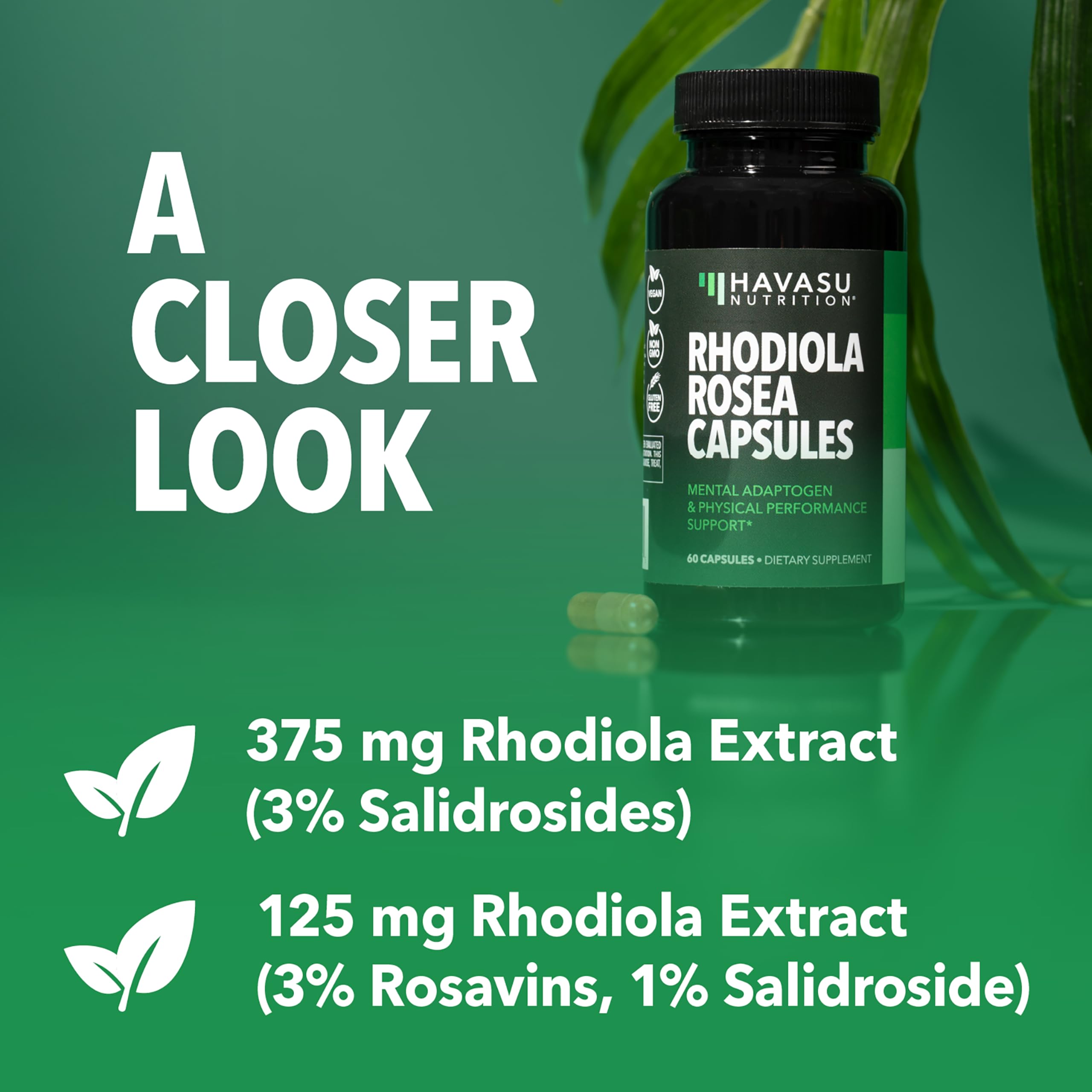 HAVASU NUTRITION Rhodiola Rosea capsules in hand for daily routine.