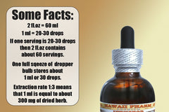 Hawaii Pharm Usnea glycerin-base close-up highlights gentle extraction.
