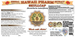 HawaiiPharm Skullcap liquid extract pour demonstrates precise dosing