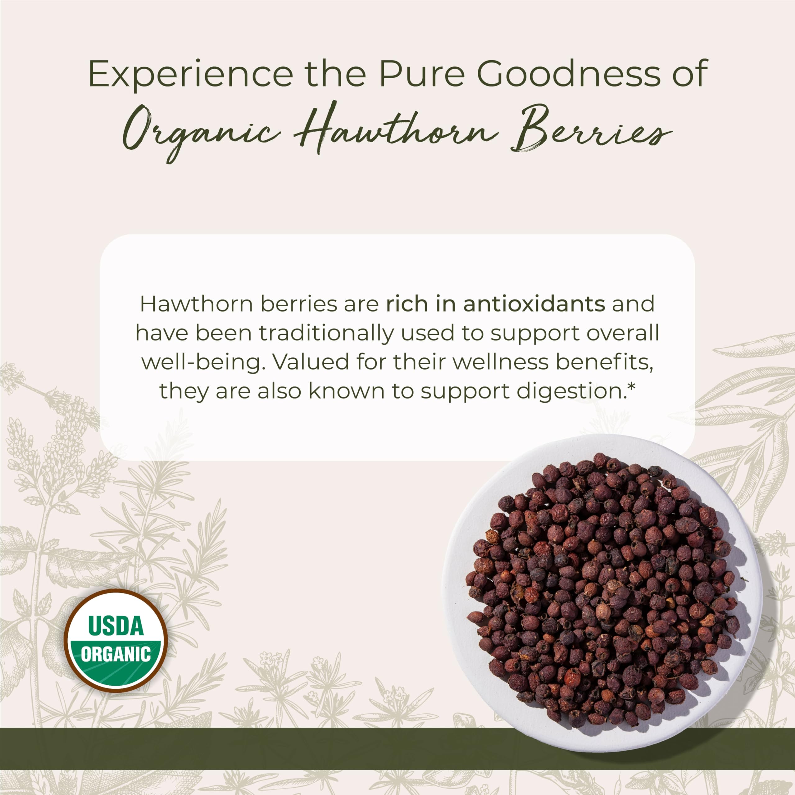Starwest Hawthorn Berries for tea brew with rich aroma and flavor