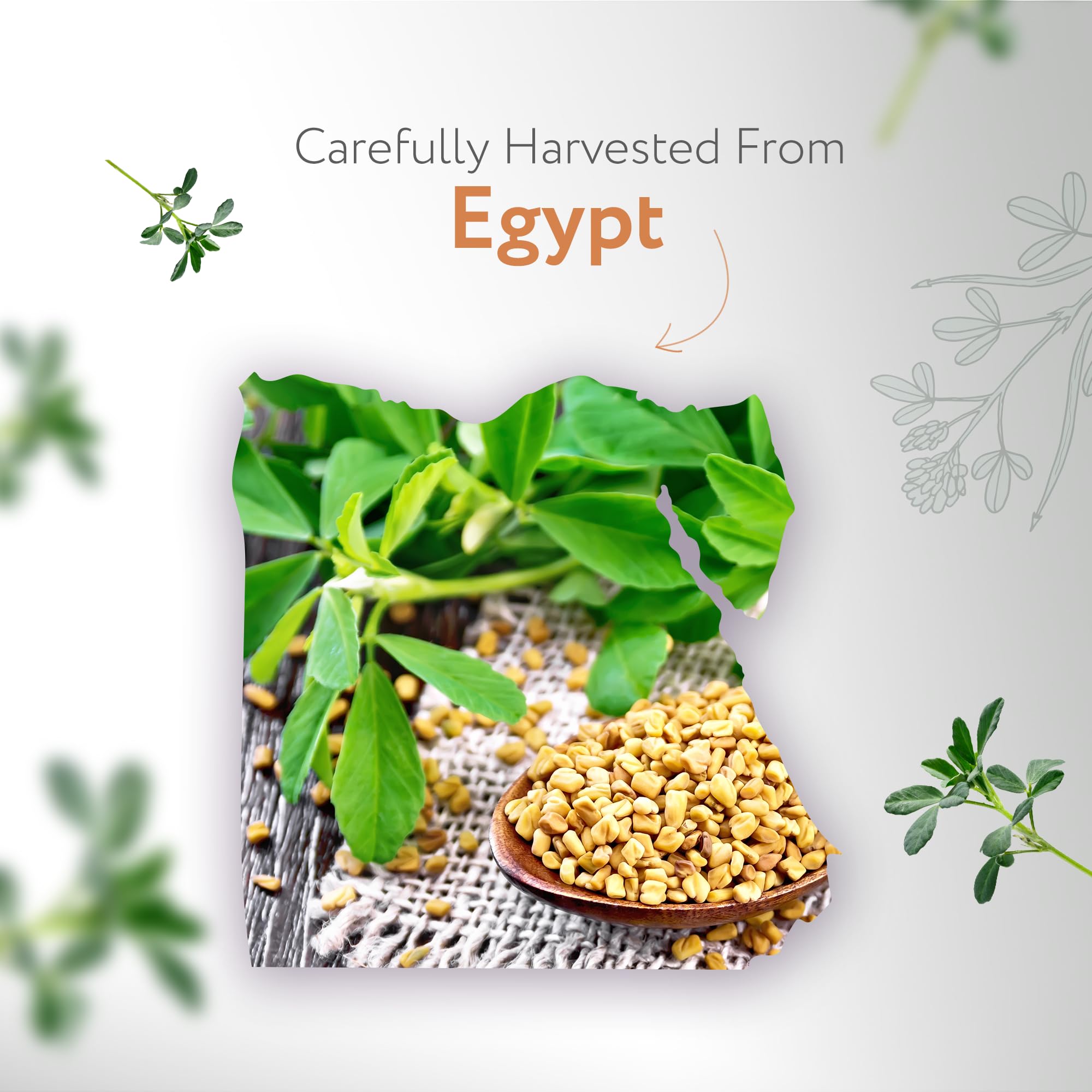 HBNO Fenugreek Oil 960ml label closeup, showcasing virgin, hexane-free quality.
