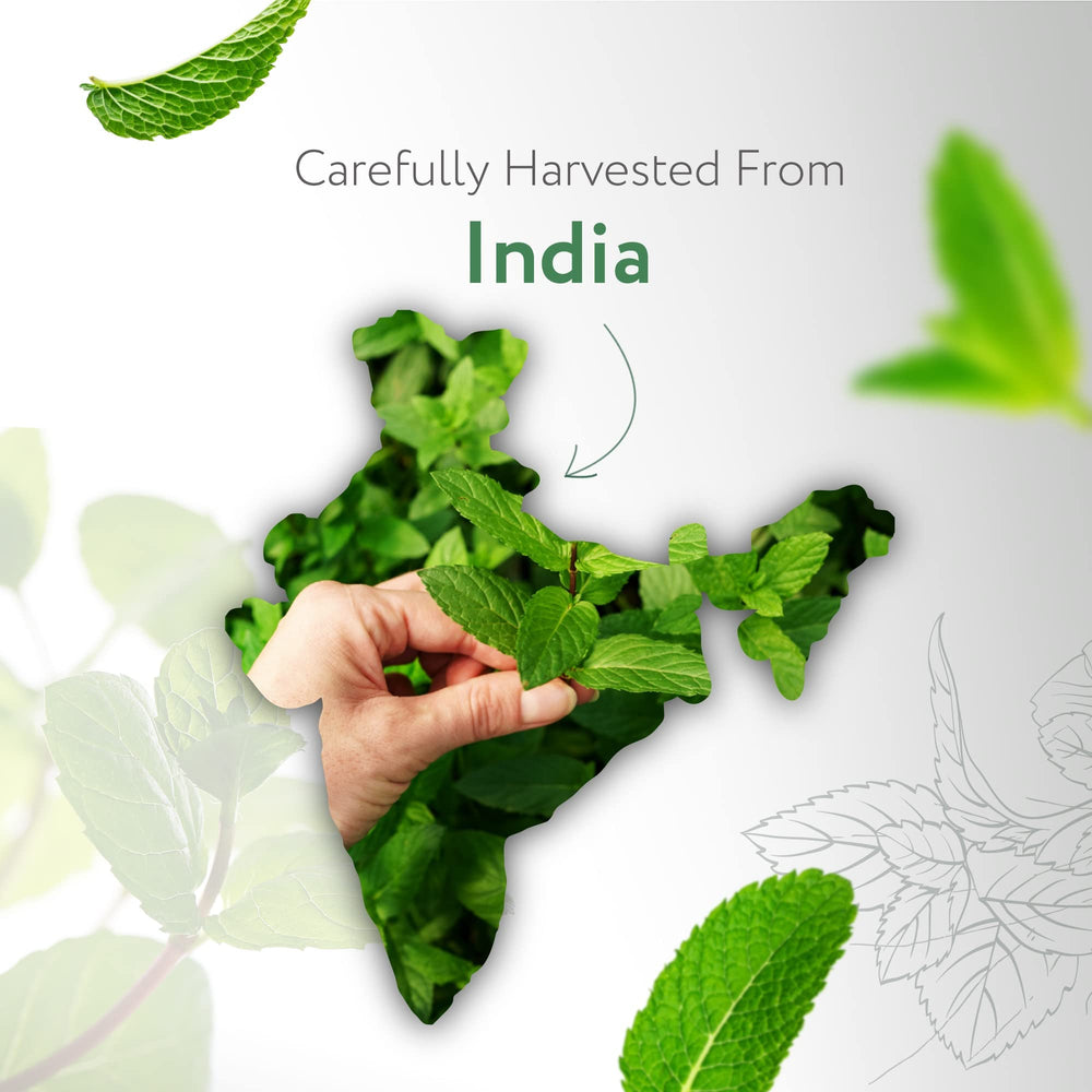 HBNO peppermint oil used in diffusers for refreshing, spa-like aroma.