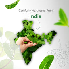HBNO peppermint oil used in diffusers for refreshing, spa-like aroma.