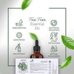 HBNO tea tree oil bottled in USA facility for quality control.