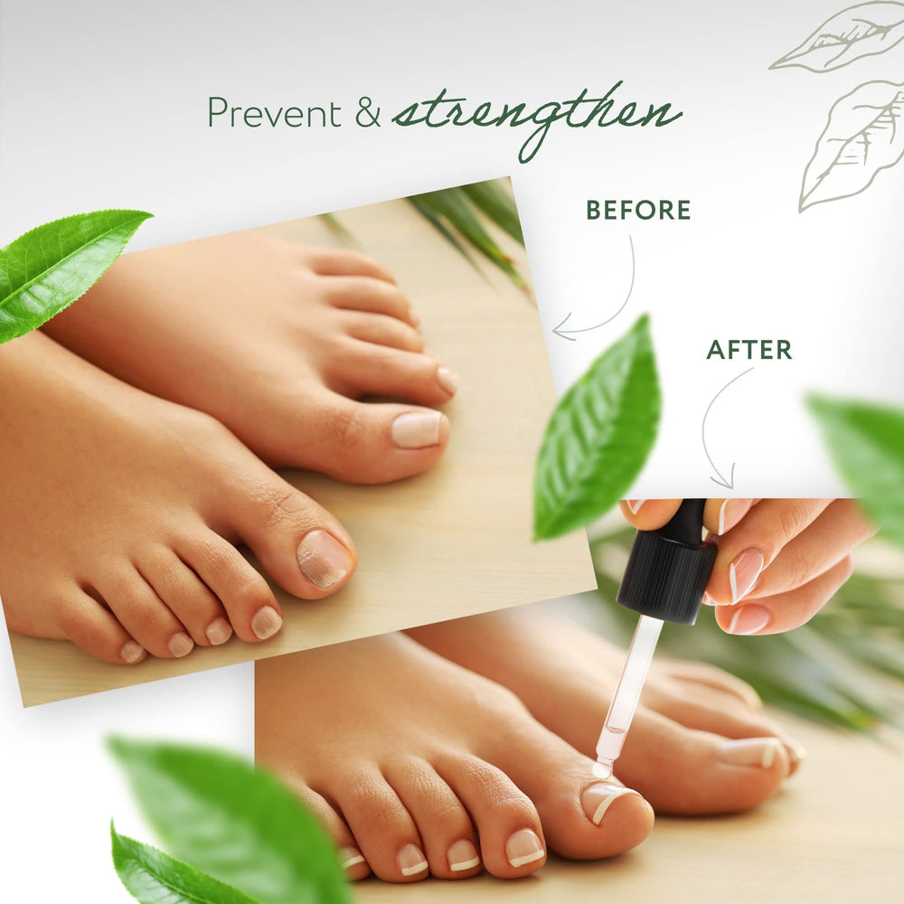HBNO tea tree leaves emphasize natural sourcing and purity.
