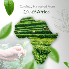 HBNO tea tree oil packaging highlights organic certification and USA origin.