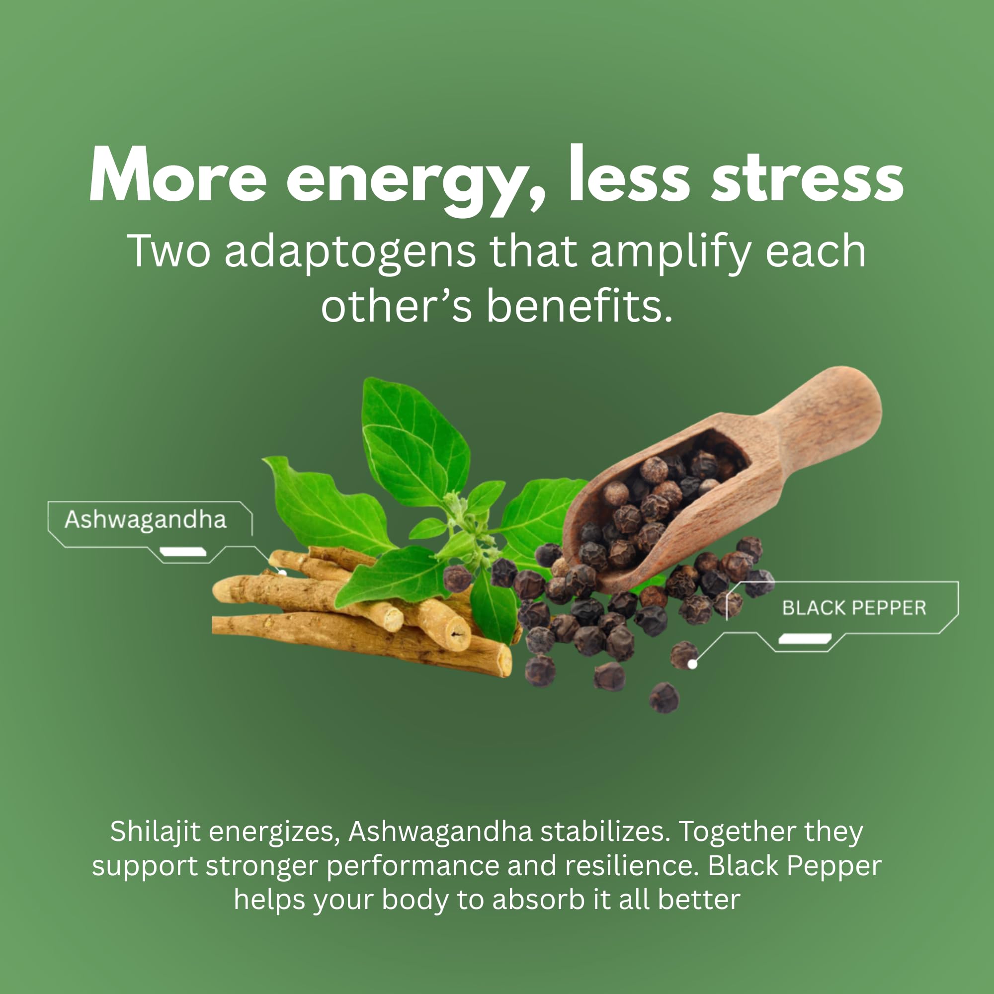 Packaging shot emphasizes vegan, non-GMO formulation for daily use.