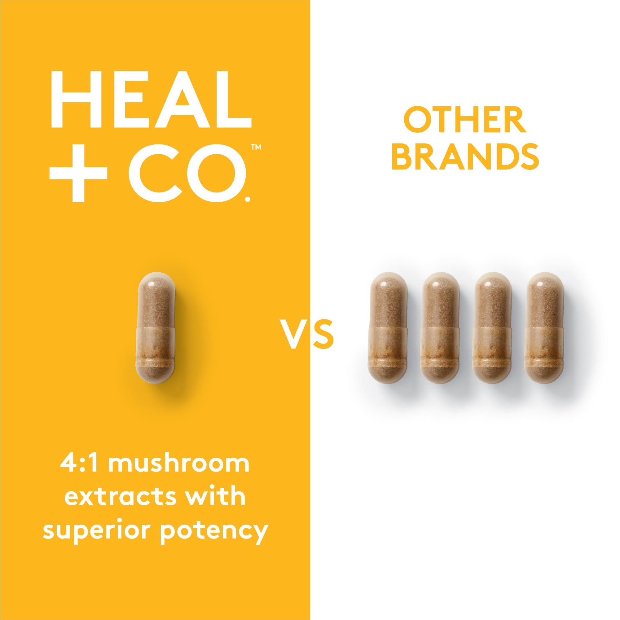 HEAL + CO promotional card featuring Lion's Mane benefits.