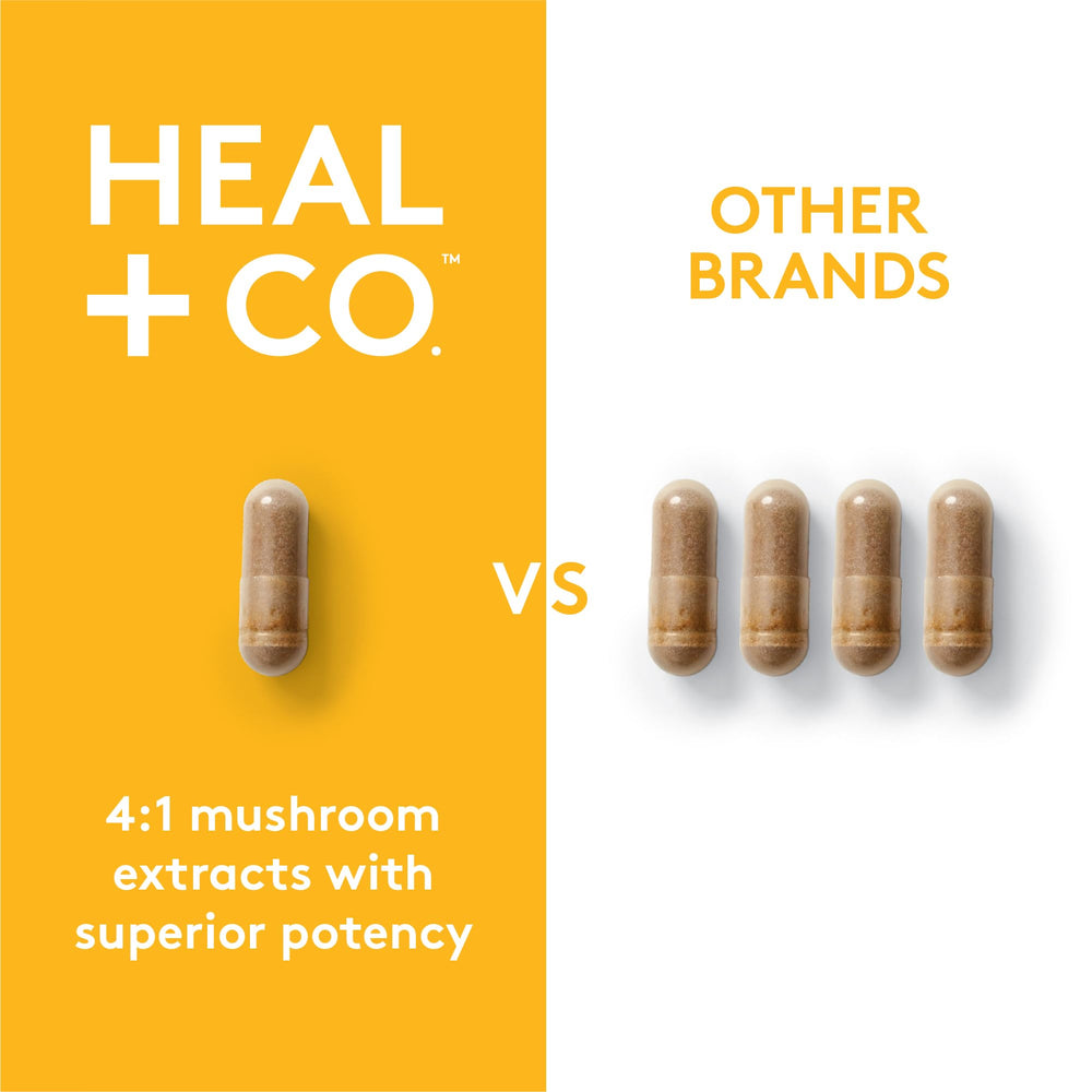 HEAL + CO promotional card featuring Lion's Mane benefits.