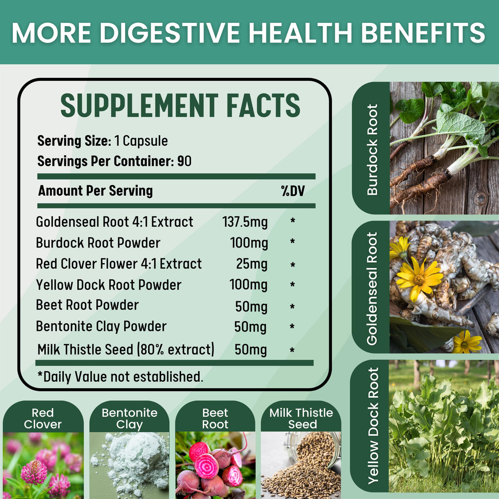 Healblend Milk Thistle extract close-up emphasizes antioxidant protection for liver cells.