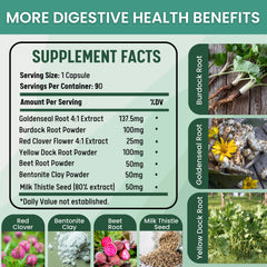 Healblend Milk Thistle extract close-up emphasizes antioxidant protection for liver cells.