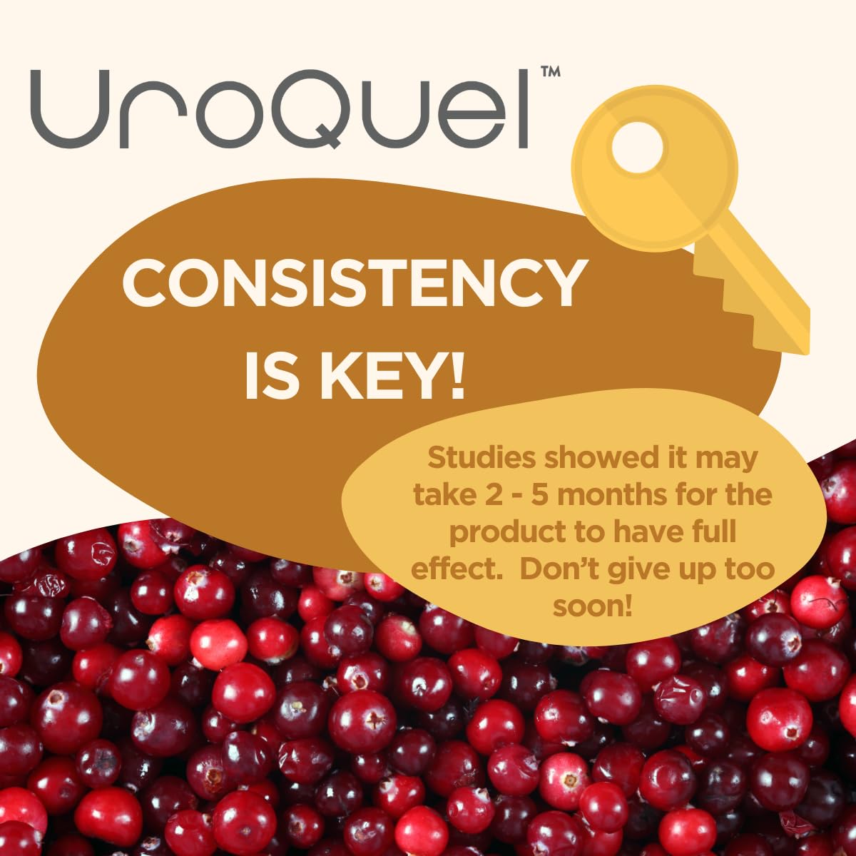 Lifestyle scene featuring UroQuel for everyday urinary wellness