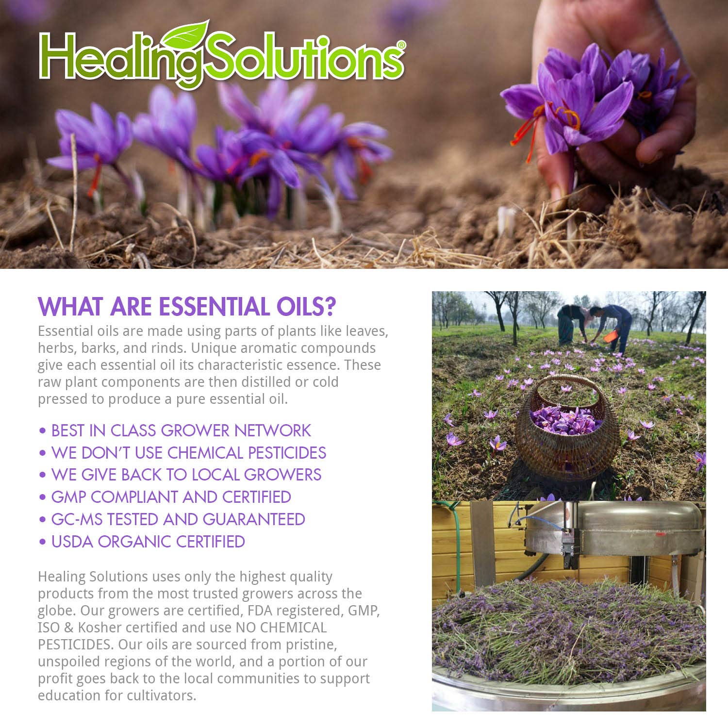 Healing Solutions Lavender oil with built in eyedropper for precise application.