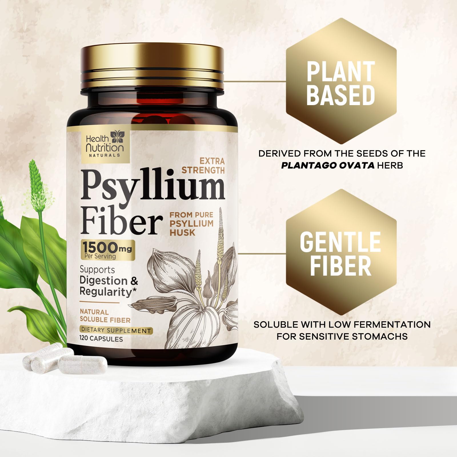 Health Nutrition Naturals Psyllium Husk Capsules digestion-support imagery suggesting gut health.