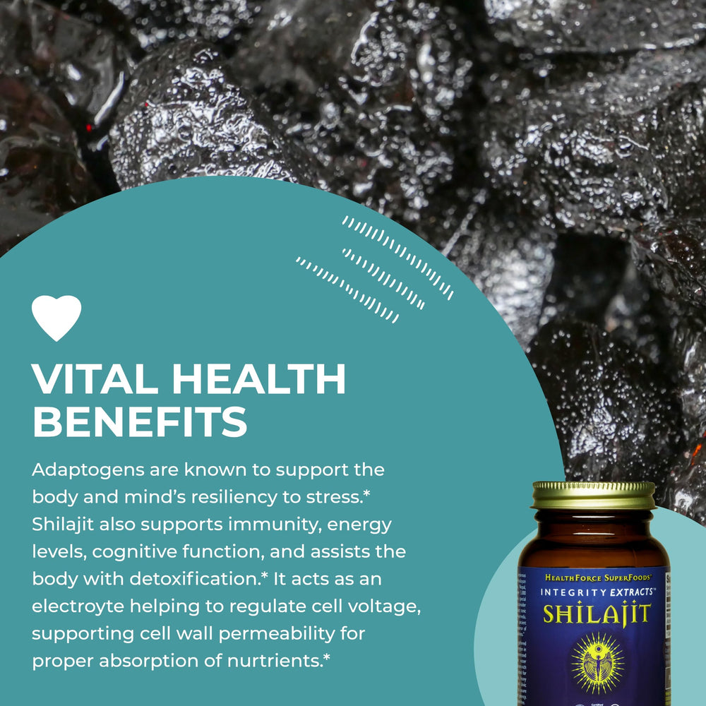 USA-made HealthForce Shilajit facility maintaining gluten-free, vegan standards.