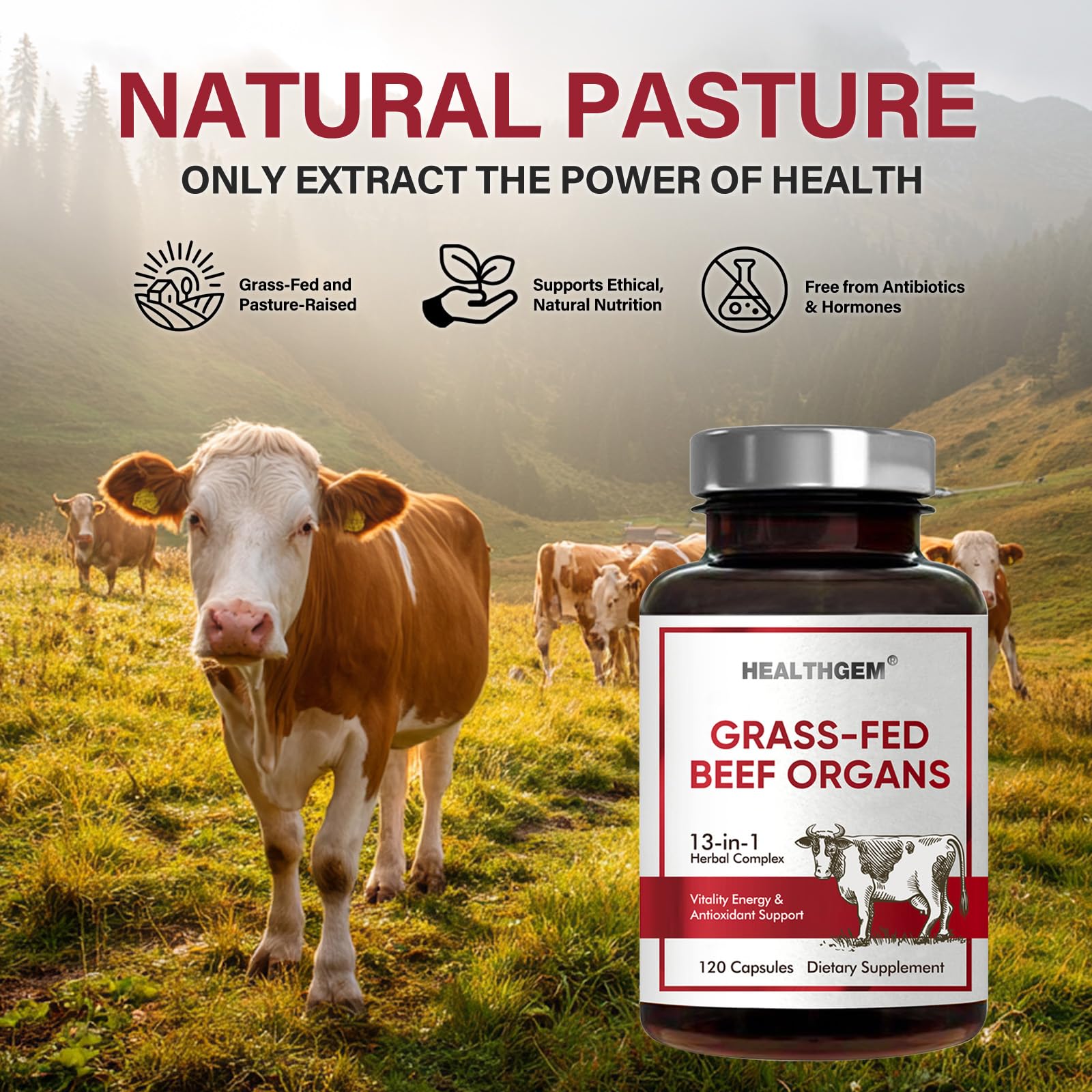 HEALTHGEM Beef Organs Kidney capsules support metabolism and natural energy