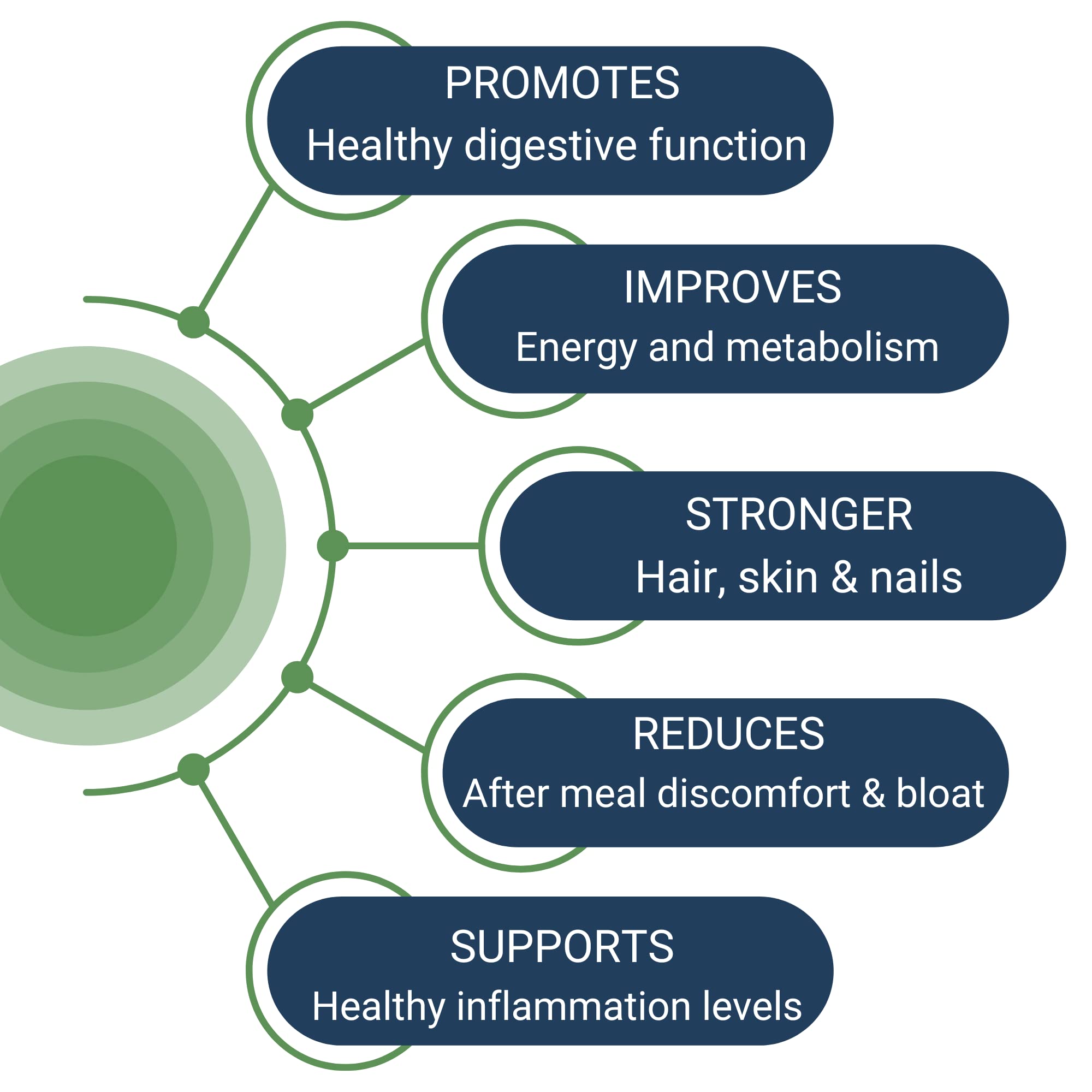 Healthy Gut HCL Guard pepsin-tablet shows potent protein breakdown enzyme