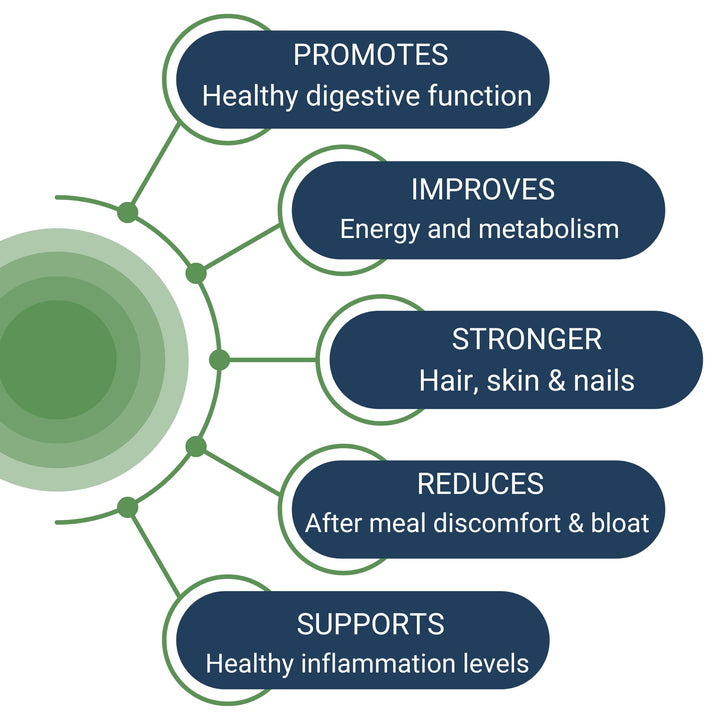 Healthy Gut HCL Guard pepsin-tablet shows potent protein breakdown enzyme