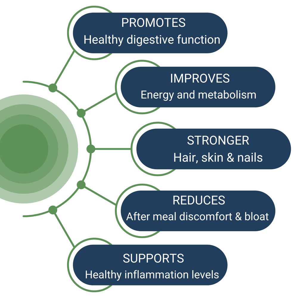 Healthy Gut HCL Guard pepsin-tablet shows potent protein breakdown enzyme