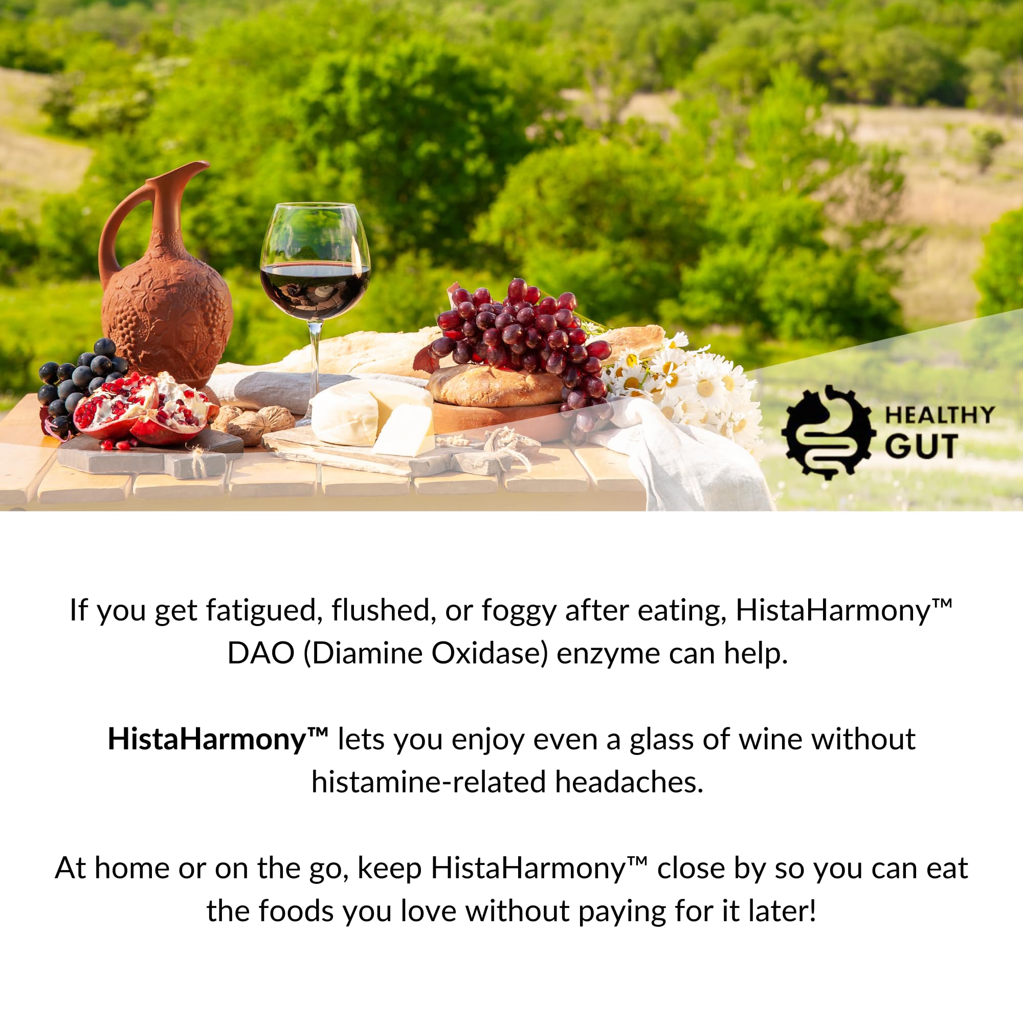 Healthy Gut HistaHarmony meal-time use scenario for comfortable dining.