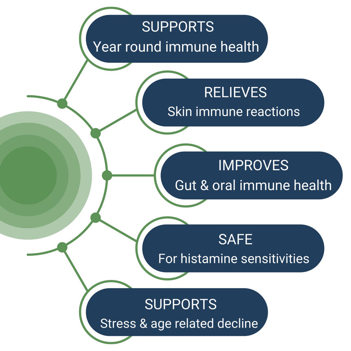Healthy Gut HoloImmune vegan non-GMO formula for clean ingredients.