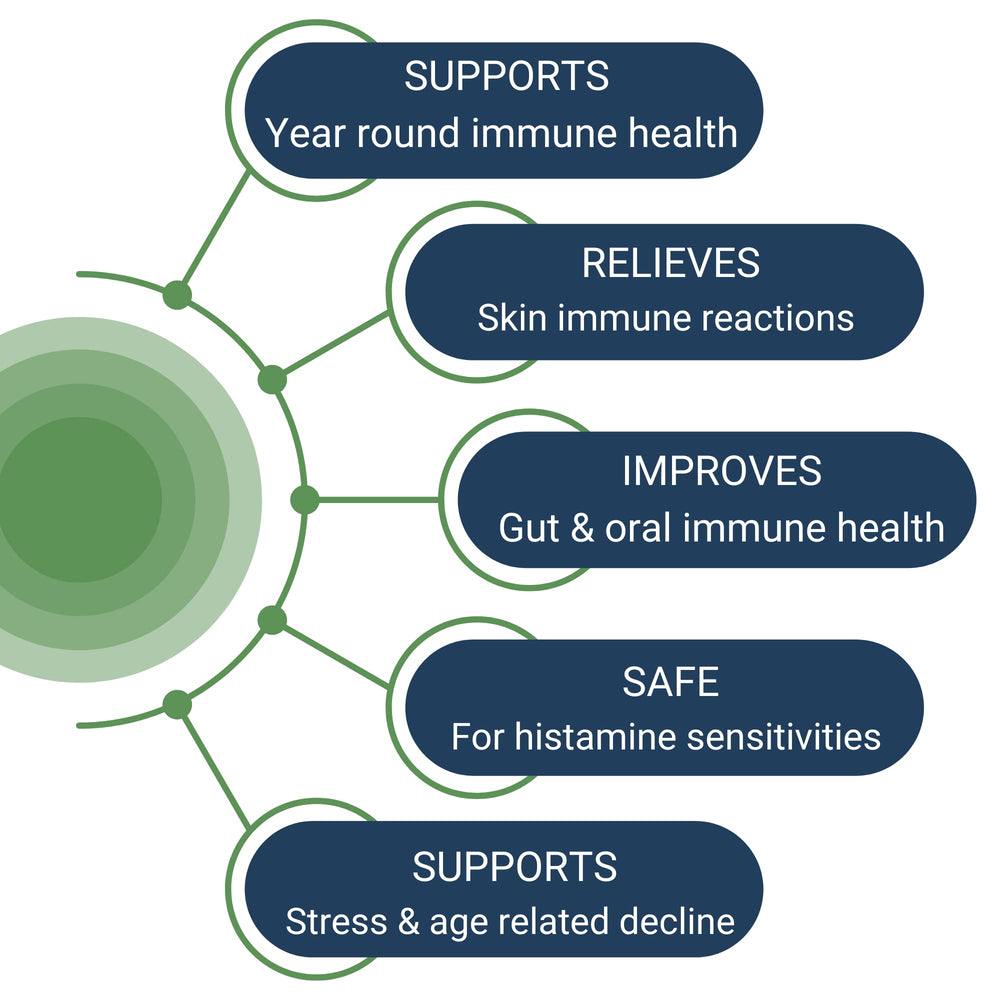 Healthy Gut HoloImmune vegan non-GMO formula for clean ingredients.