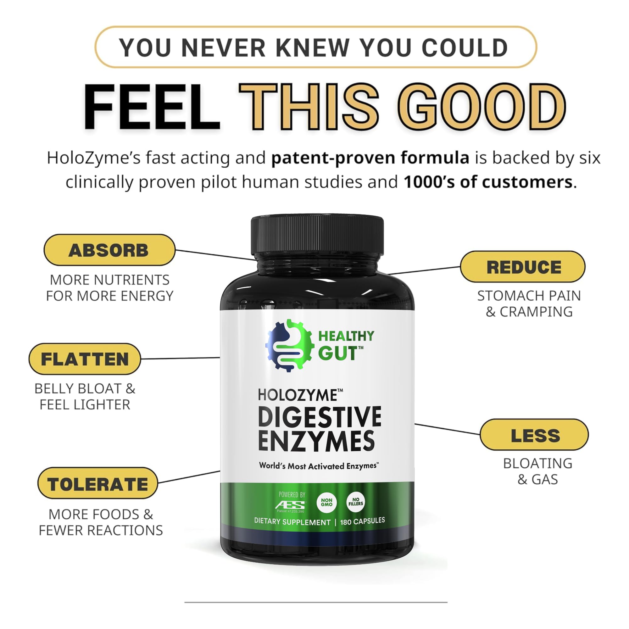 Healthy Gut HoloZyme Full Enzyme Ingredients Panel—transparent formulation details.