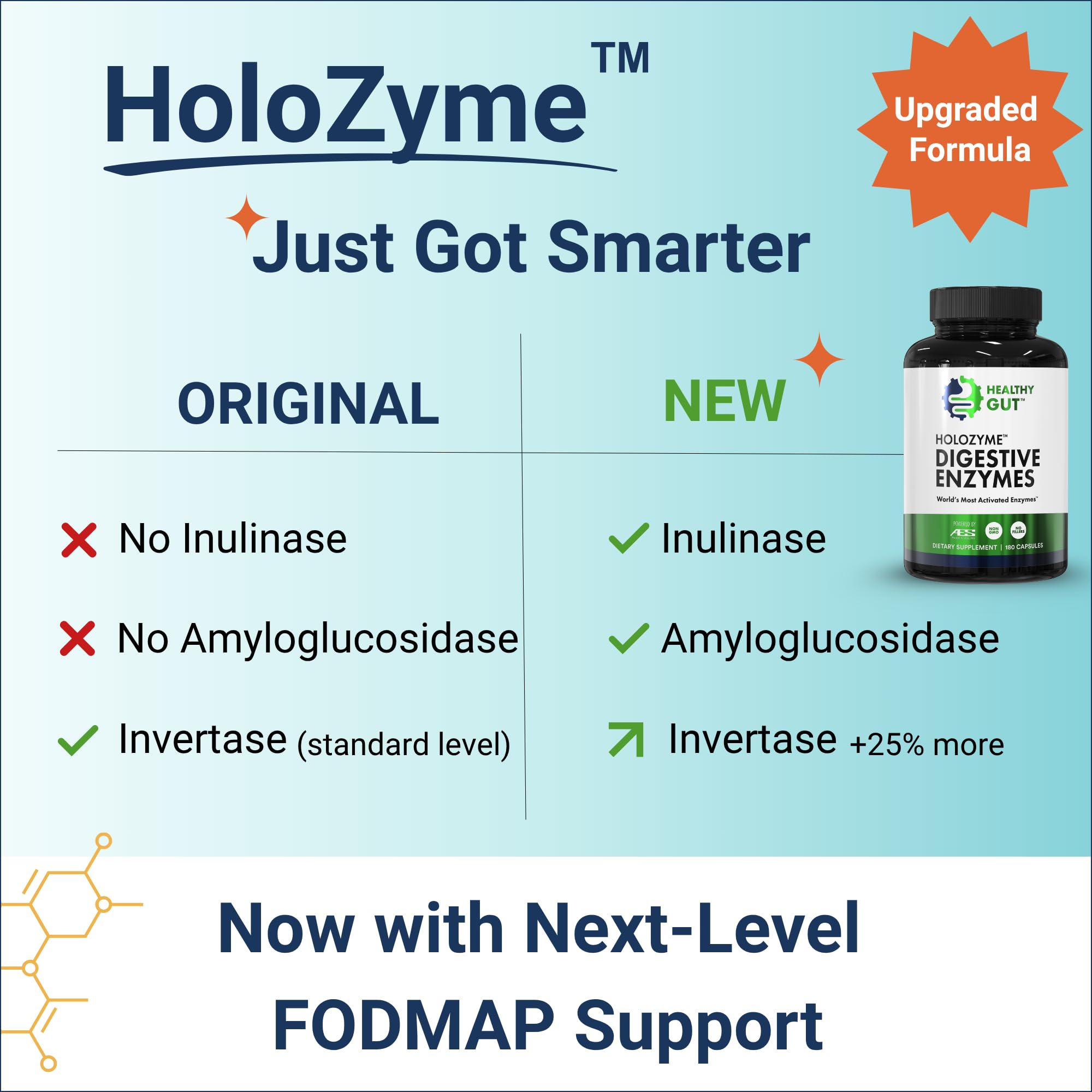 Healthy Gut HoloZyme Inulinase-Amyloglucosidase-Invertase—FODMAP-friendly enzyme trio for digestion.