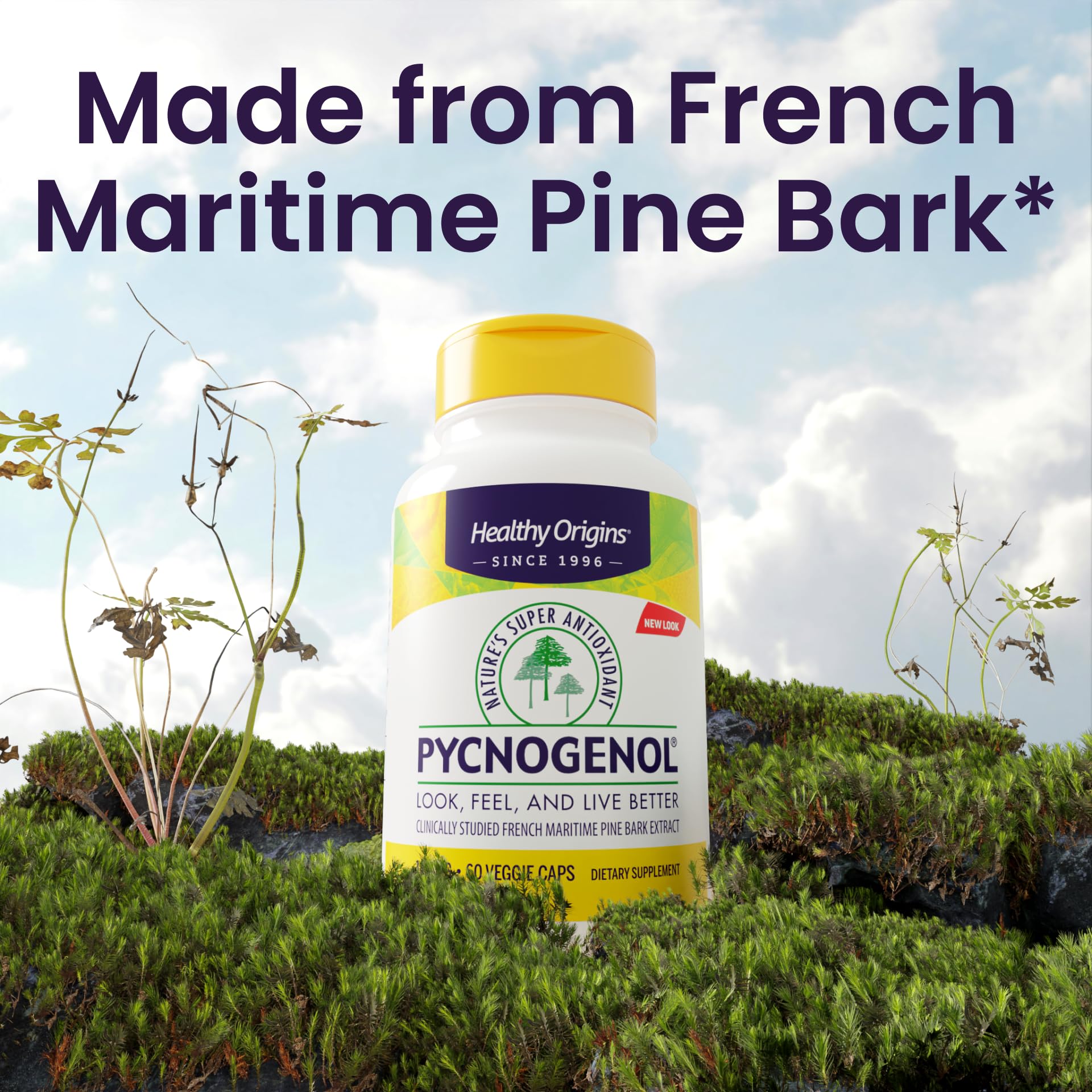 Healthy Origins Pycnogenol label front with gluten-free formula