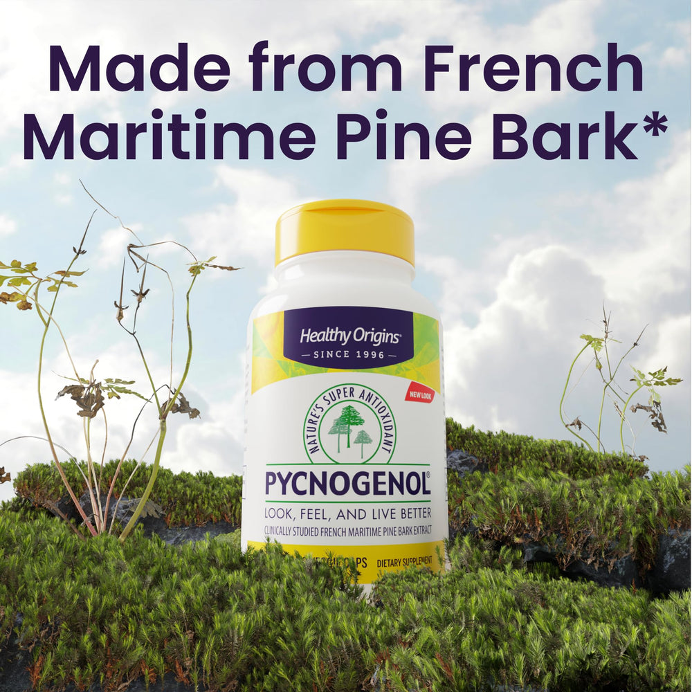 Healthy Origins Pycnogenol pine bark extract close-up highlights antioxidants.