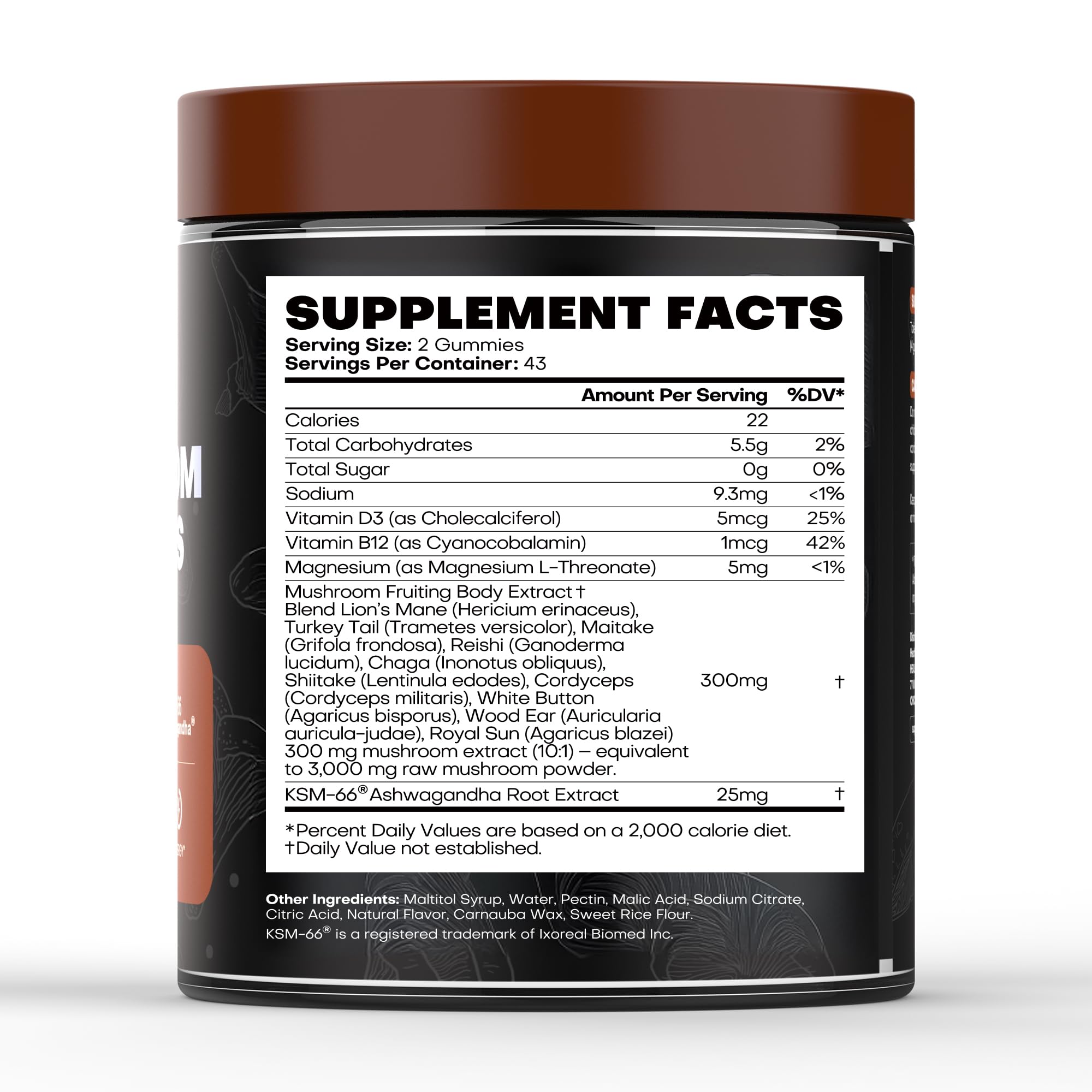 HealthyVi Mushroom Gummies bottle suggesting focus support and immune resilience for daily life.