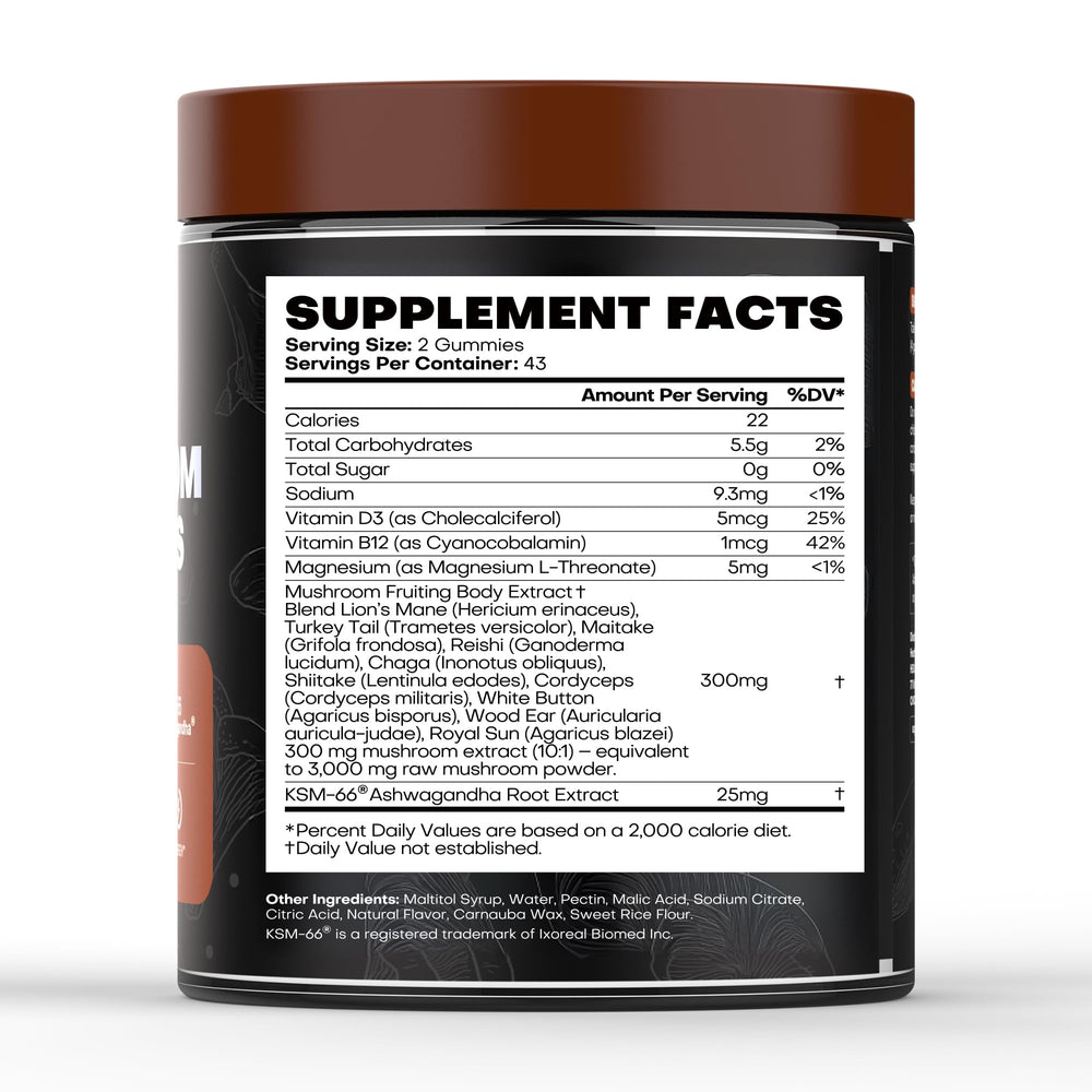 HealthyVi Mushroom Gummies bottle suggesting focus support and immune resilience for daily life.