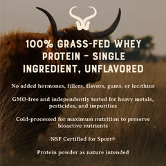 Scoop above HEART & SOIL whey protein powder.