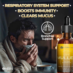 HEBS LAB mullein leaf extract pour over a glass of water.