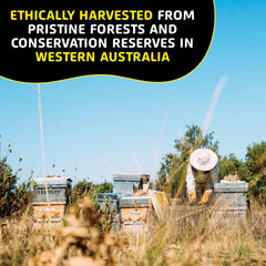 Helio Hives Western Australia forests image underscores pristine sourcing from diverse flora
