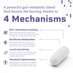 HELLO100 artichoke-derived inulin visual focusing prebiotic balance.