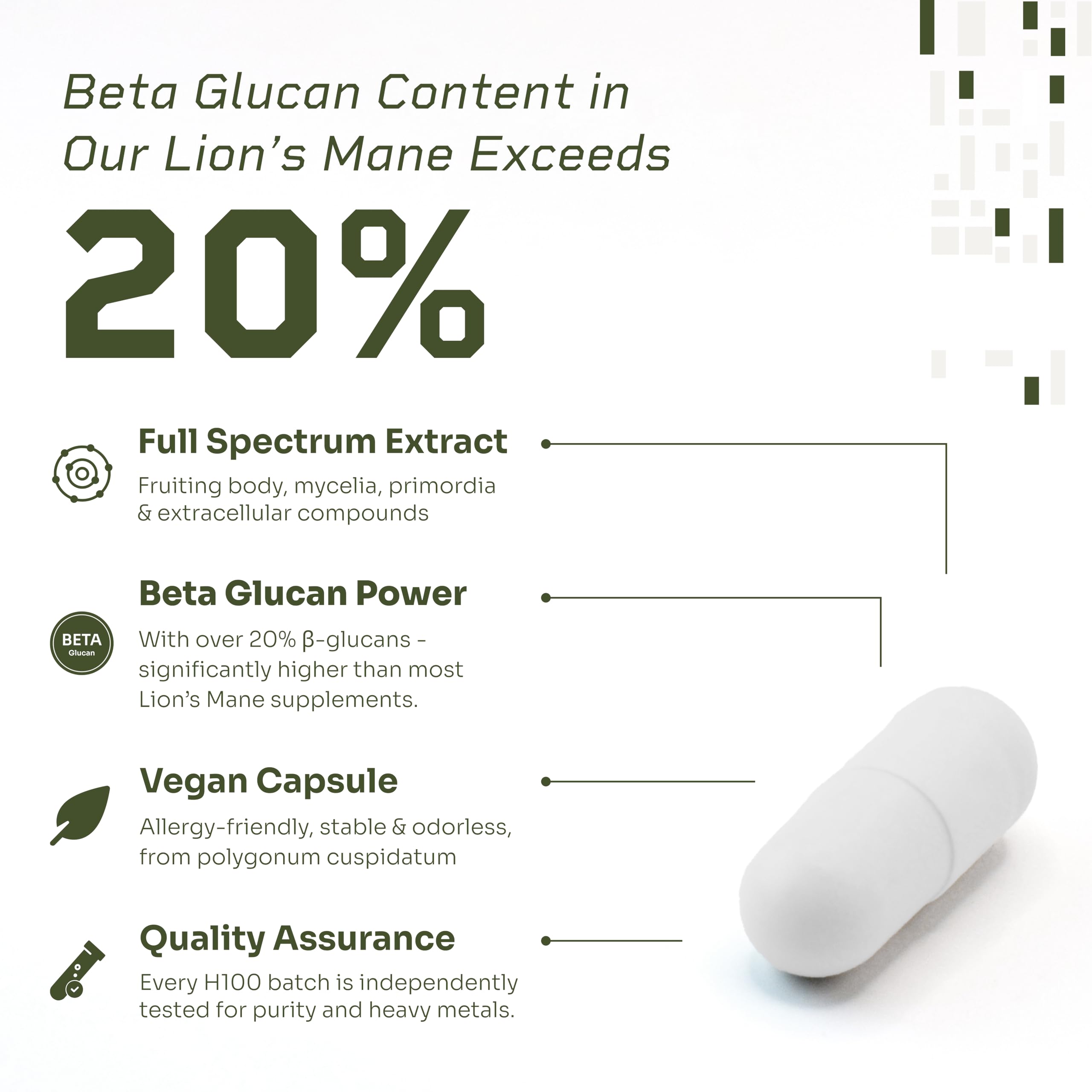 HELLO100 Lion’s Mane plant-based capsules shown for daily focus and clarity.