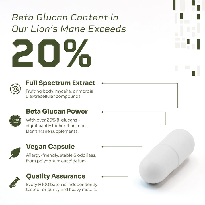 HELLO100 Lion’s Mane plant-based capsules shown for daily focus and clarity.