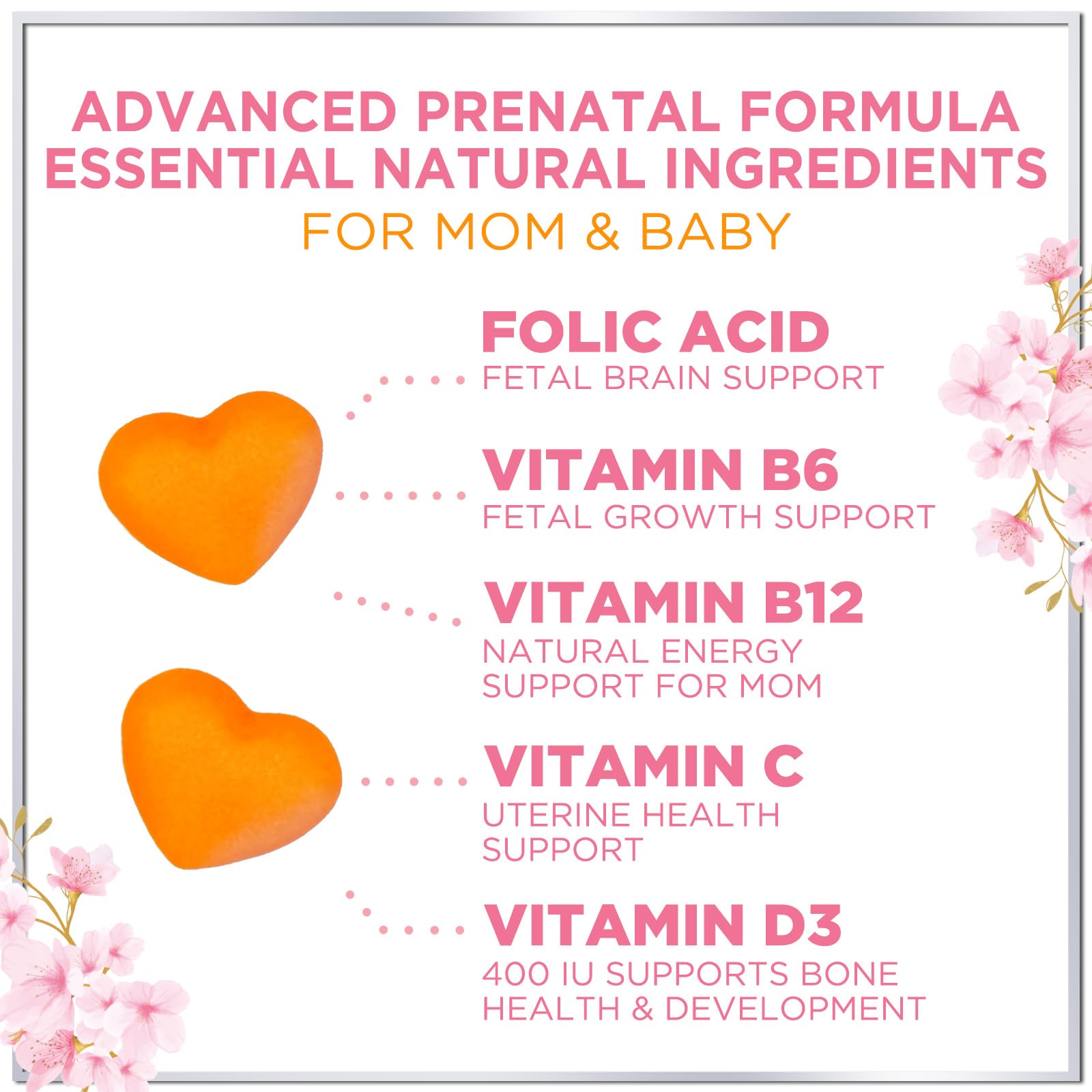 Hello Lovely Prenatal DHA ingredients highlighted for prenatal nervous system support